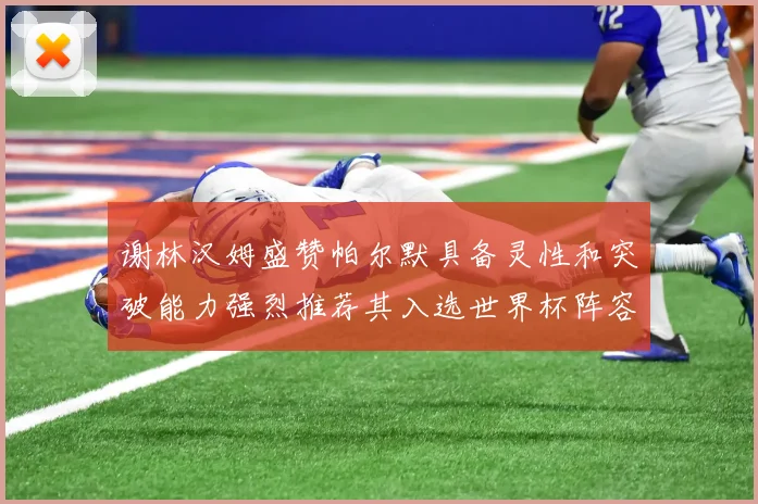 谢林汉姆盛赞帕尔默具备灵性和突破能力强烈推荐其入选世界杯阵容